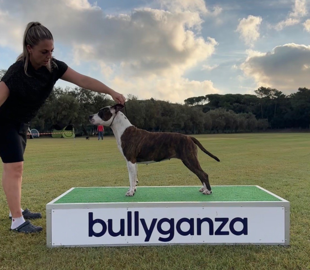 The Elder Blood Star is born